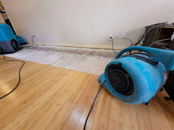 Professional Emergency Water Damage technician working in Viola, WI